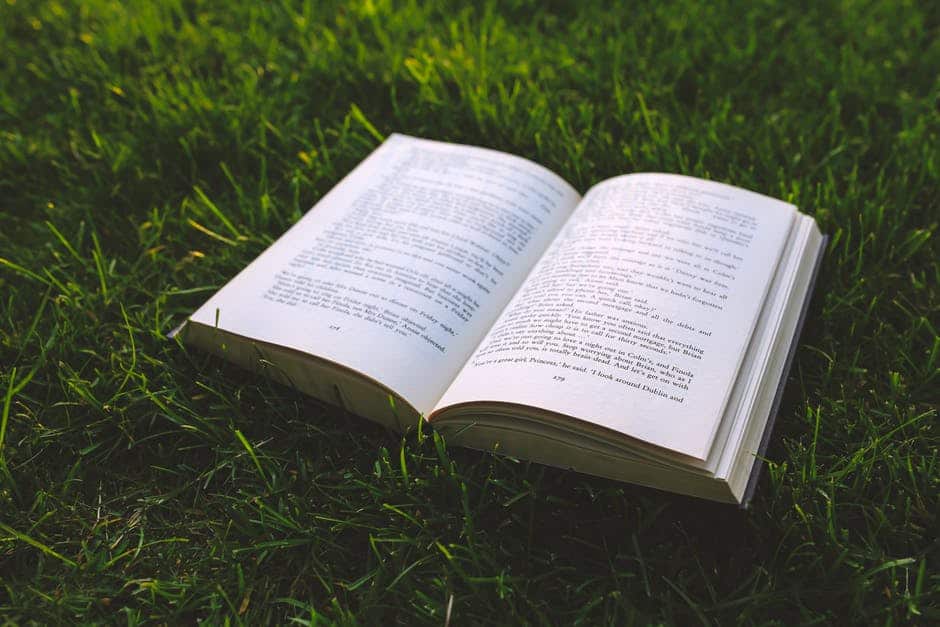 čítanie - nature grass green book - Takto si nájdete viac času na čítanie