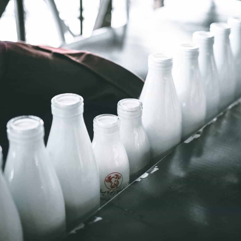 mlieko - mehrshad rajabi 626913 unsplash 1024x1024 - Potrebujeme mlieko pre život?