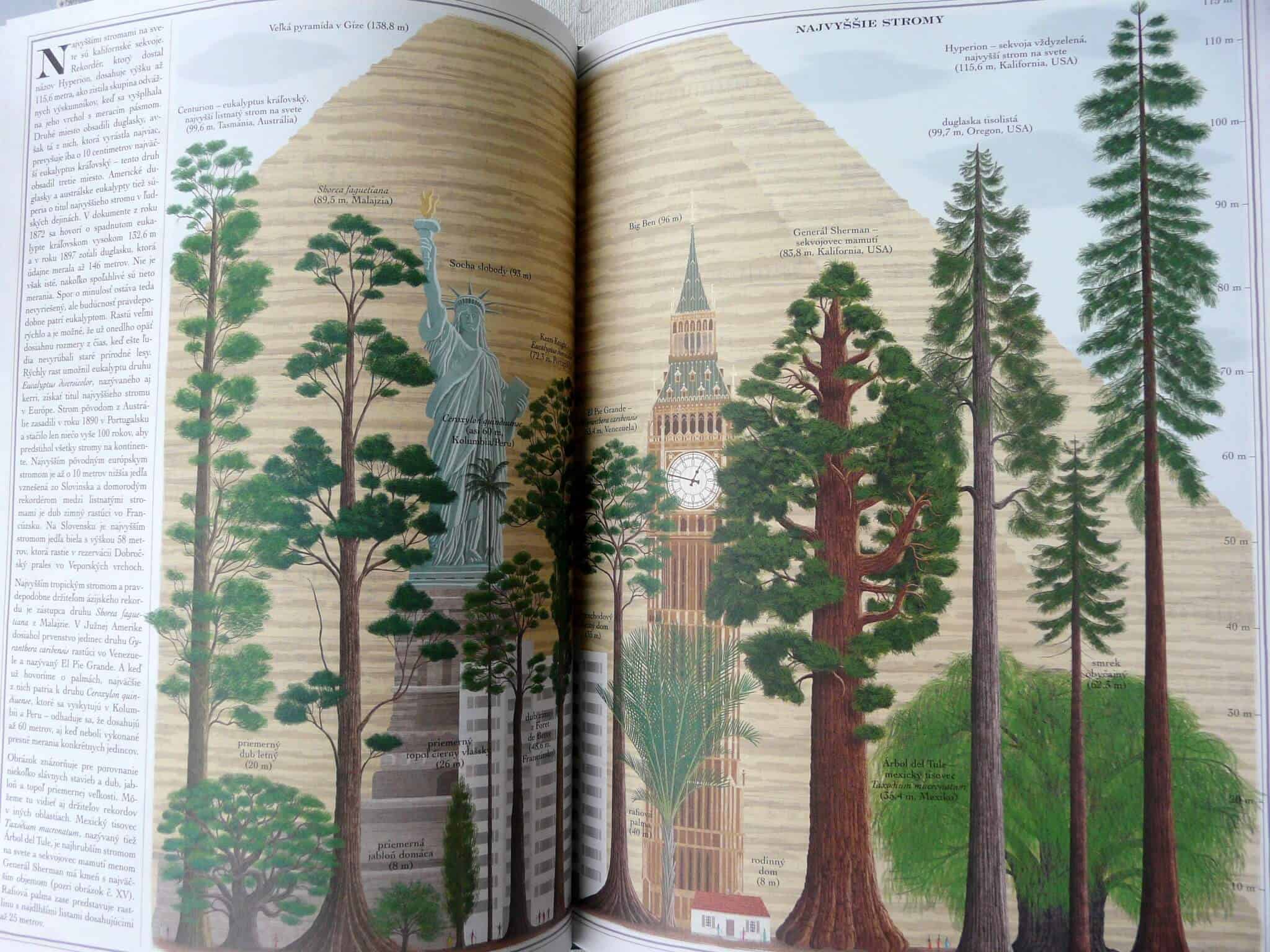 Stromy stromy - P1200244 - Svet malých čitateľov: Nadchnite deti knihami o stromoch