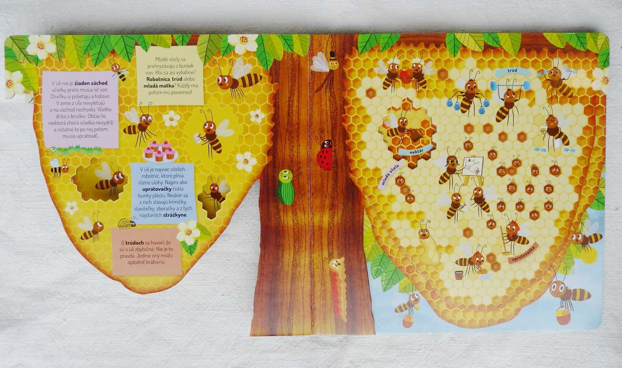 včely - P1200275 - Svet malých čitateľov: Spoznajte úžasné včely so svojimi deťmi