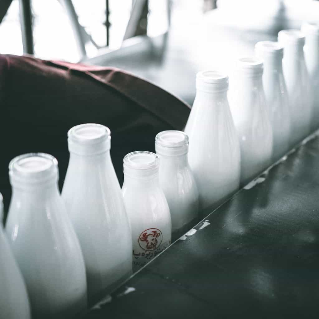 mlieko - mehrshad rajabi P7MkoYvSnLI unsplash 1024x1024 - Živočíšne produkty &#8211; je vhodné ich vyradiť?