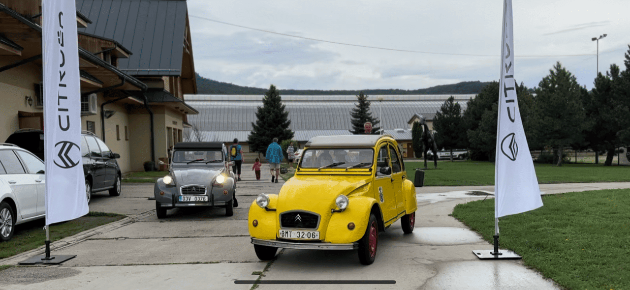 - 1 1 - Citroën 2CV: Kačice na víne